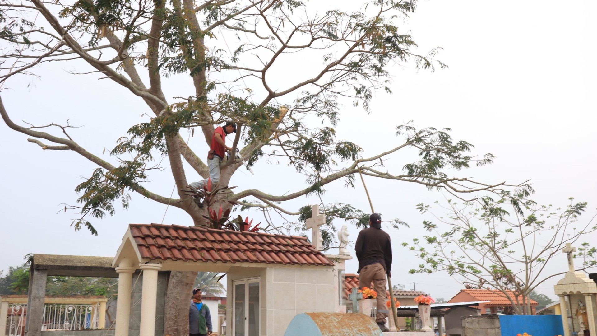 Juntos vamos a lograr el Chacaltianguis que queremos.